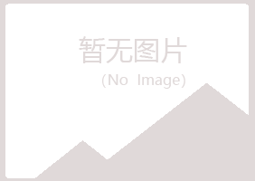 集安字迹造纸有限公司